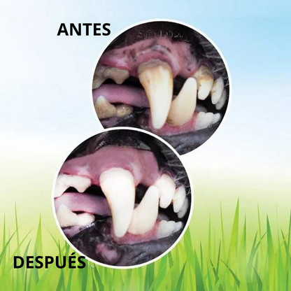 Cepillo limpiador de dientes para perros