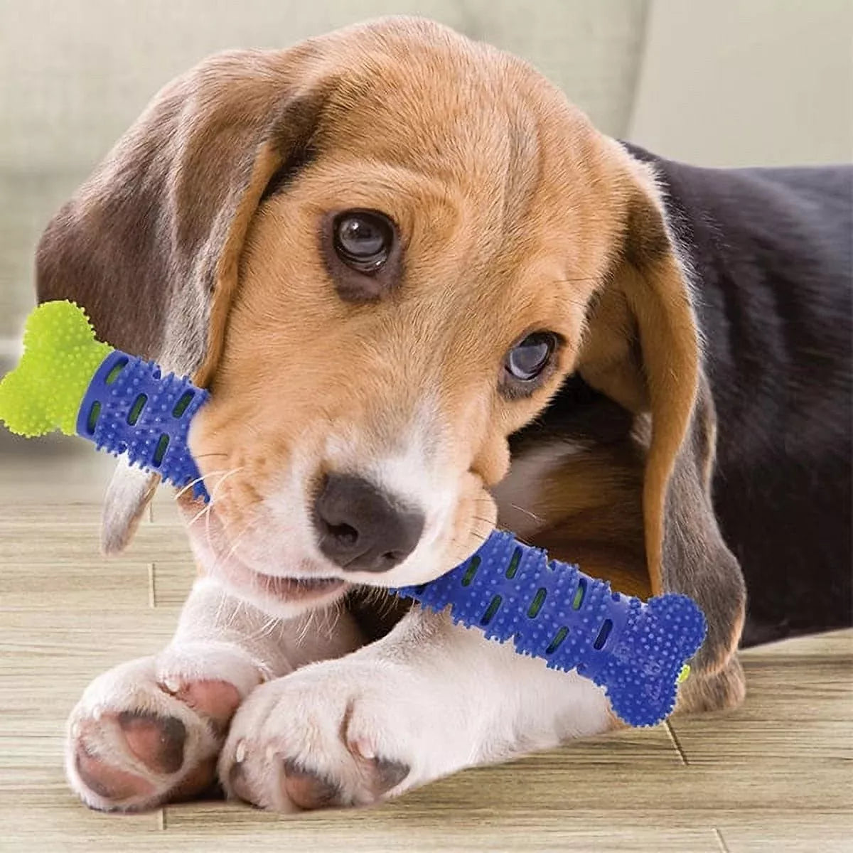 Cepillo limpiador de dientes para perros